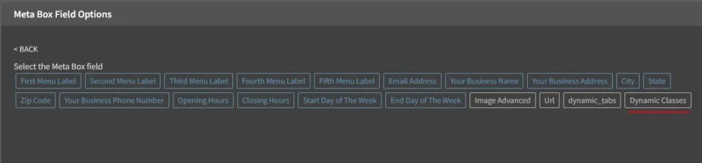 oxygen builder custom fields list